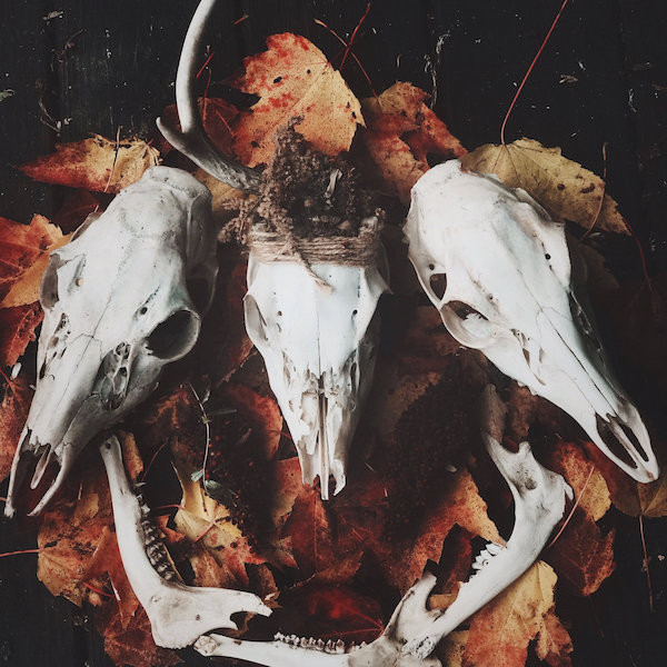 Crown of Asteria - Karhun Vakat