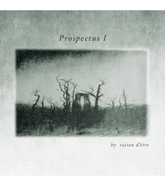 Raison D'Etre - Prospectus I (Sublime Edition)